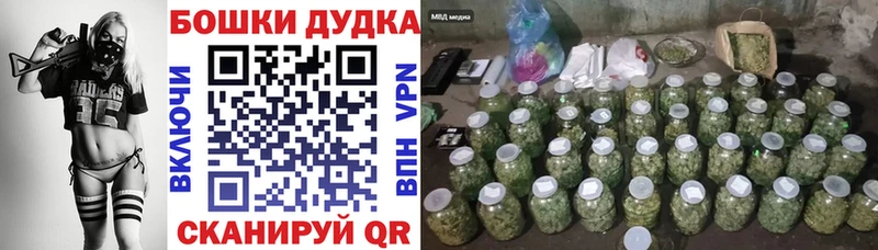 Конопля конопля  Канаш 